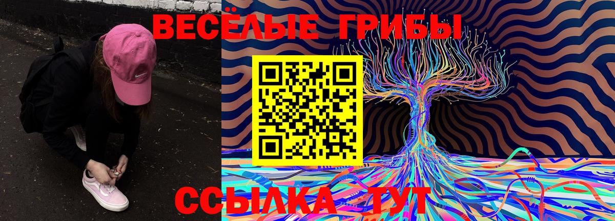 Галлюциногенные грибы MAGIC MUSHROOMS  Вход с VPN  даркнет сайт  Полевской 